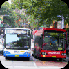 More Sydney Buses fleet images